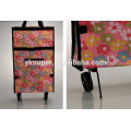 Durale beautiful folding shopping trolley bag with 2 wheels